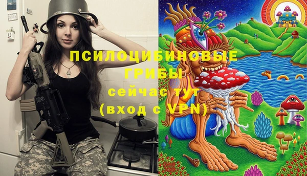 соль курить ск Арсеньев